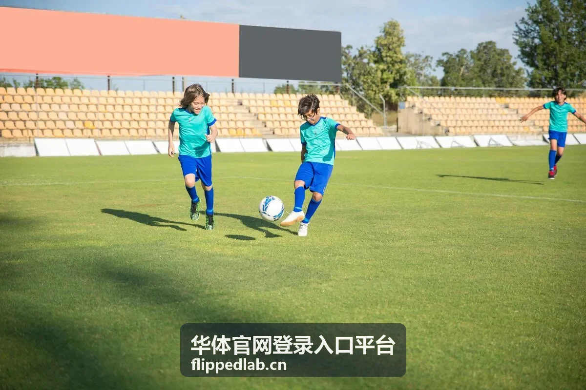 华体官网登录入口平台账号信息保护示意封面