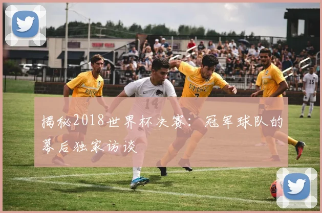揭秘2018世界杯决赛：冠军球队的幕后独家访谈