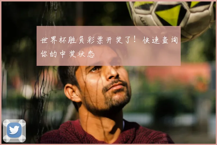世界杯胜负彩票开奖了！快速查询你的中奖状态