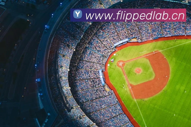 kaiyunapp官方下载入口平台生态图