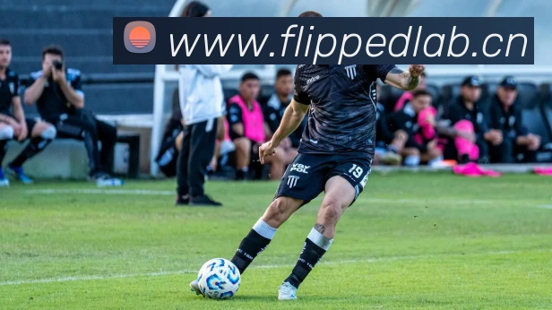 kaiyunapp官方下载入口APP 封面图